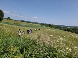 Rok szkolny 2024-2025 - 111 - Wycieczka w Bieszczady – niezapomniana przygoda!